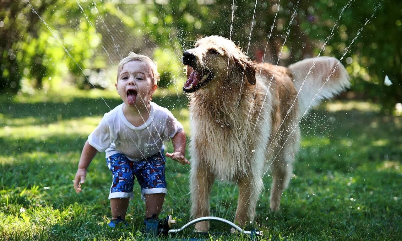 Dogoterapia - na czym polega i czy warto ją stosować?