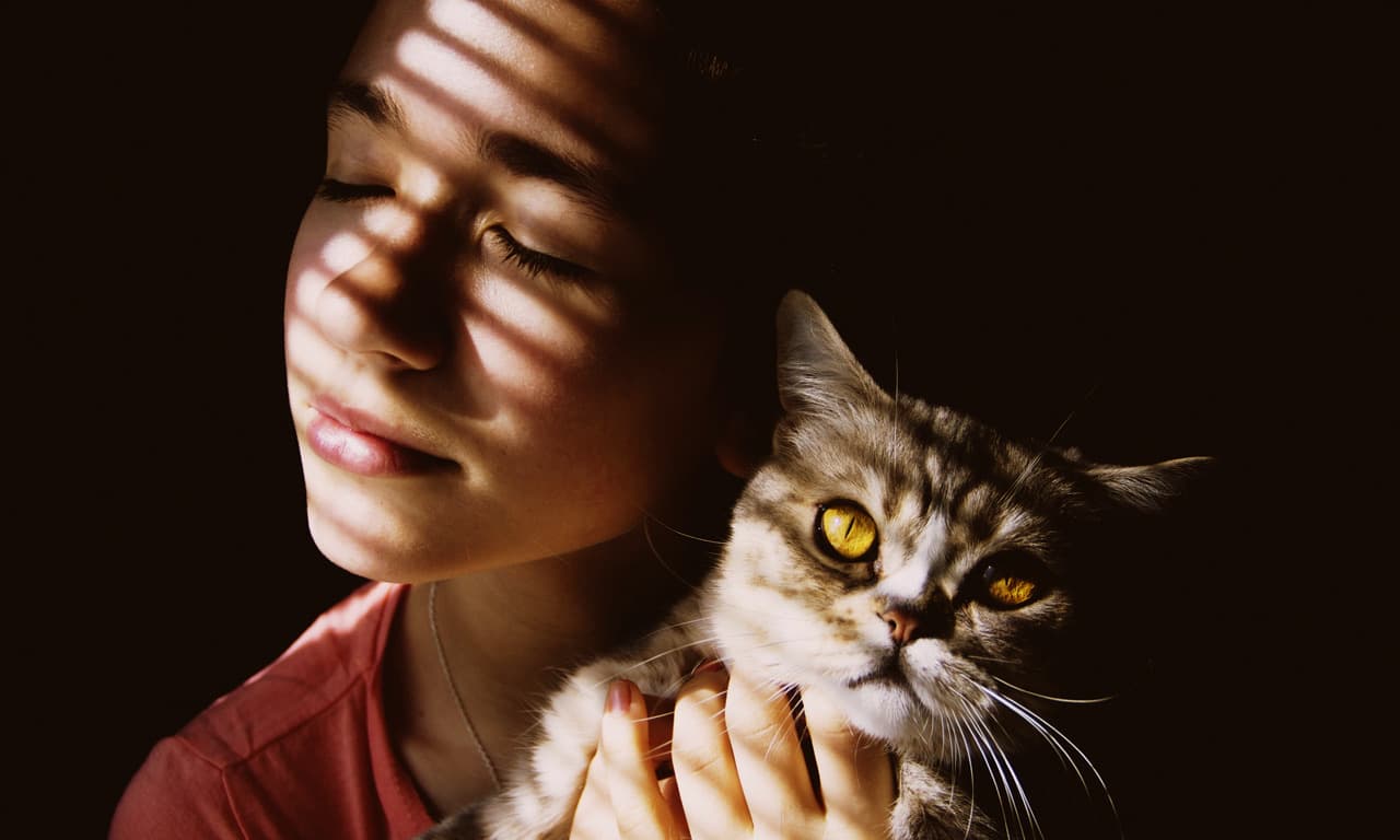 Co to felinoterapia? Czy to terapia z kotem?
